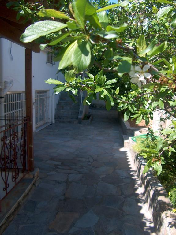 Villa Athenian Spiti à Artemi Chambre photo
